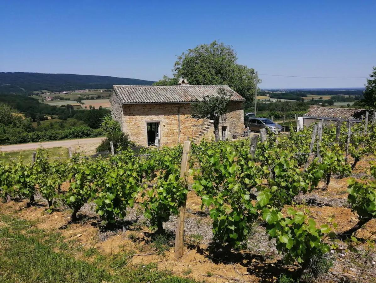 En Bourgogne Du Sud Holiday home *