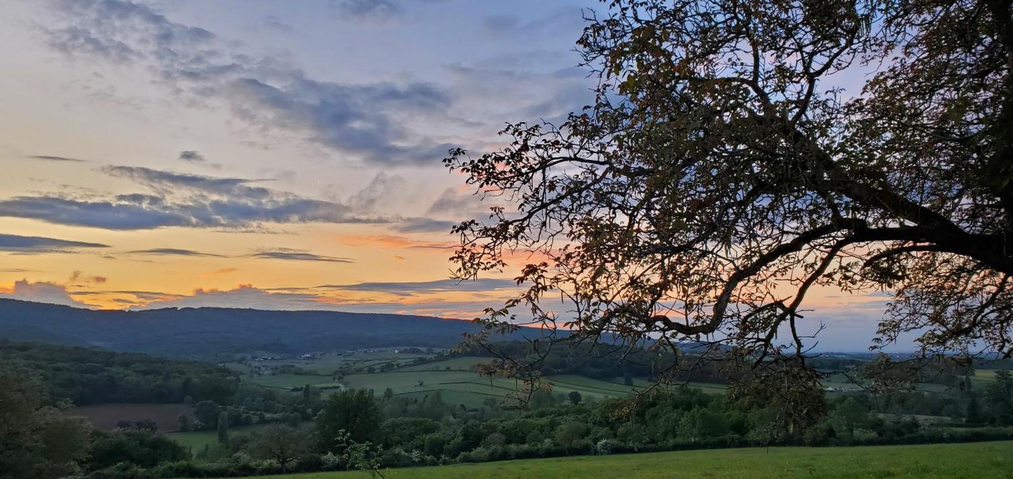 En Bourgogne Du Sud *
