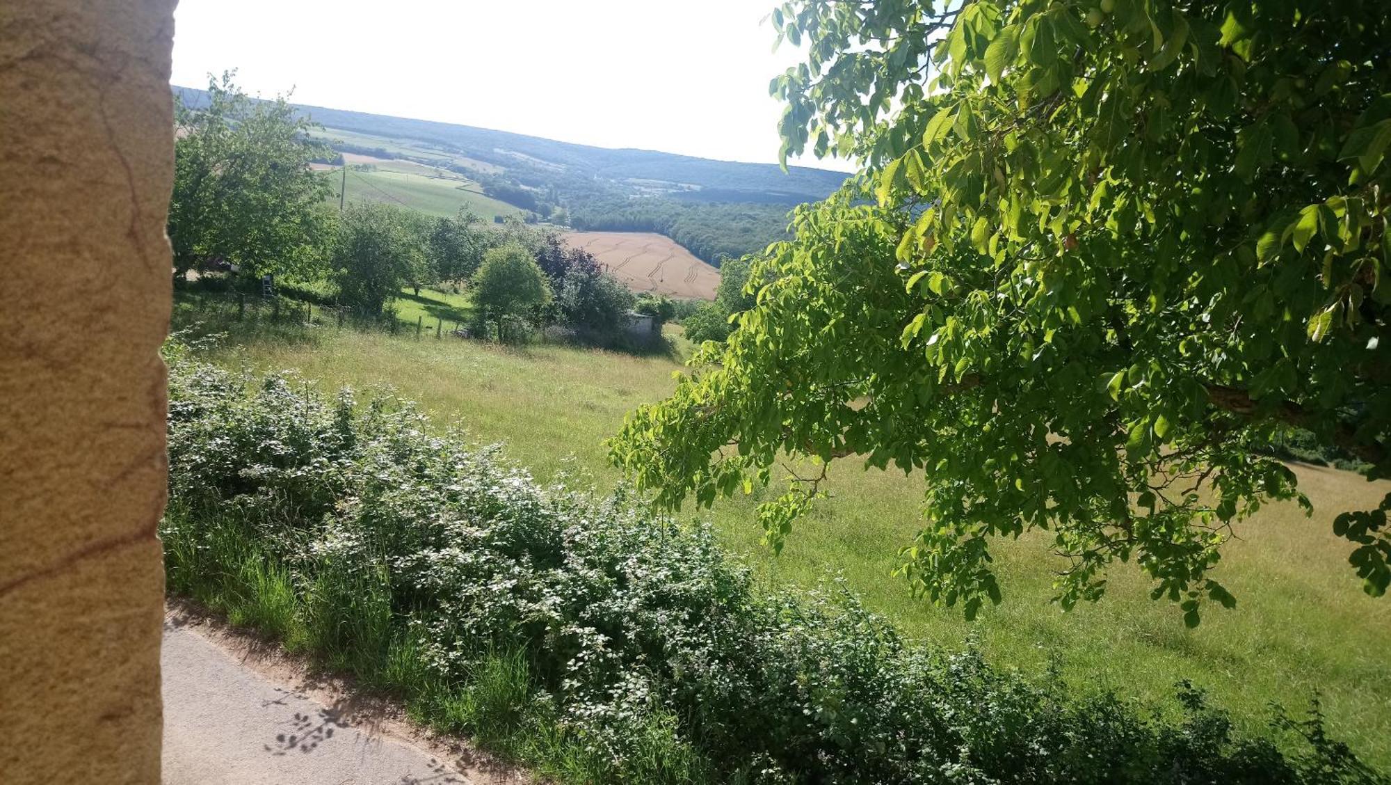 En Bourgogne Du Sud Holiday home *